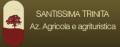 Azienda Agricola Santissima Trinità